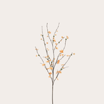 Zijden bloem - Bloesem - geel/oranje