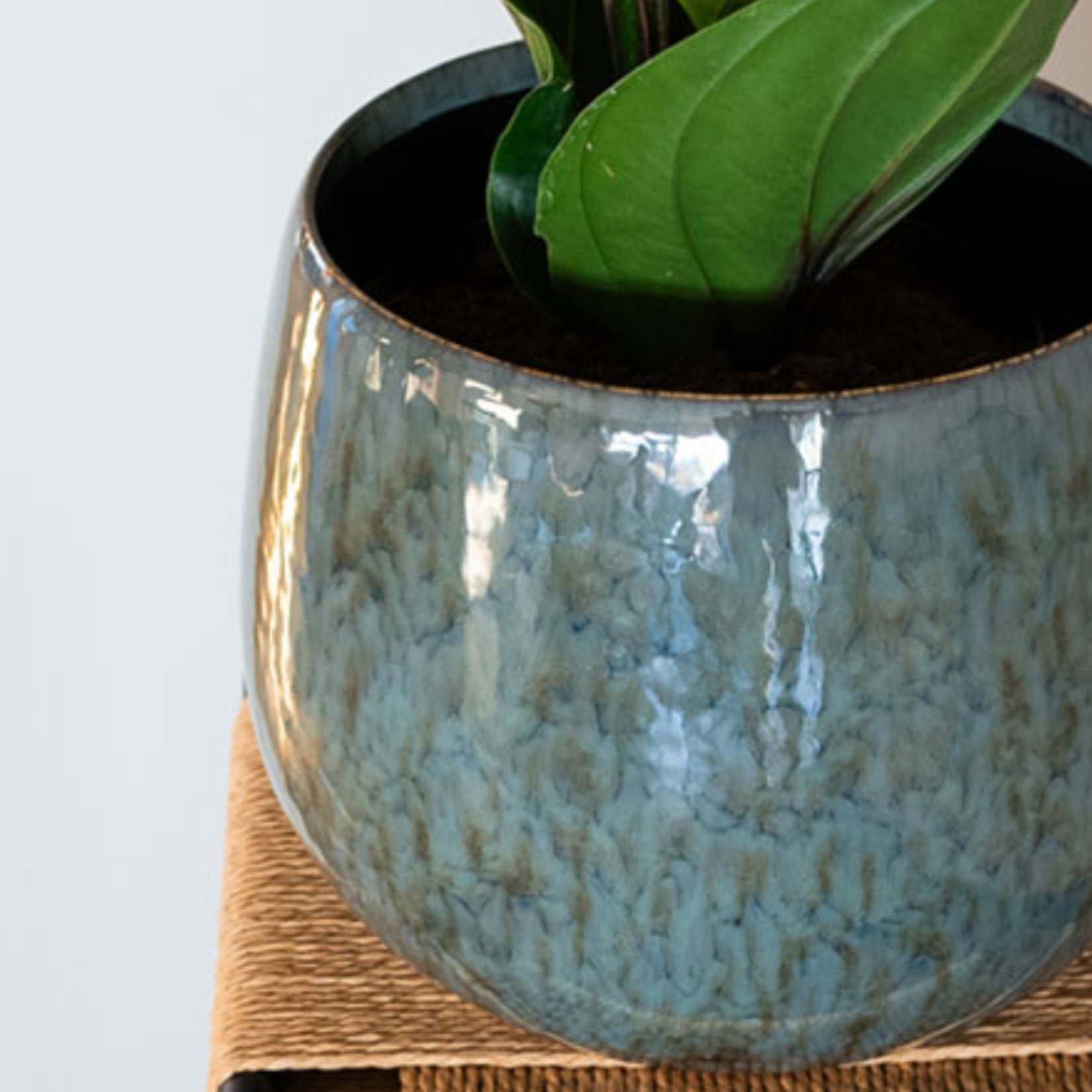 Pot - Olivio - Blauw