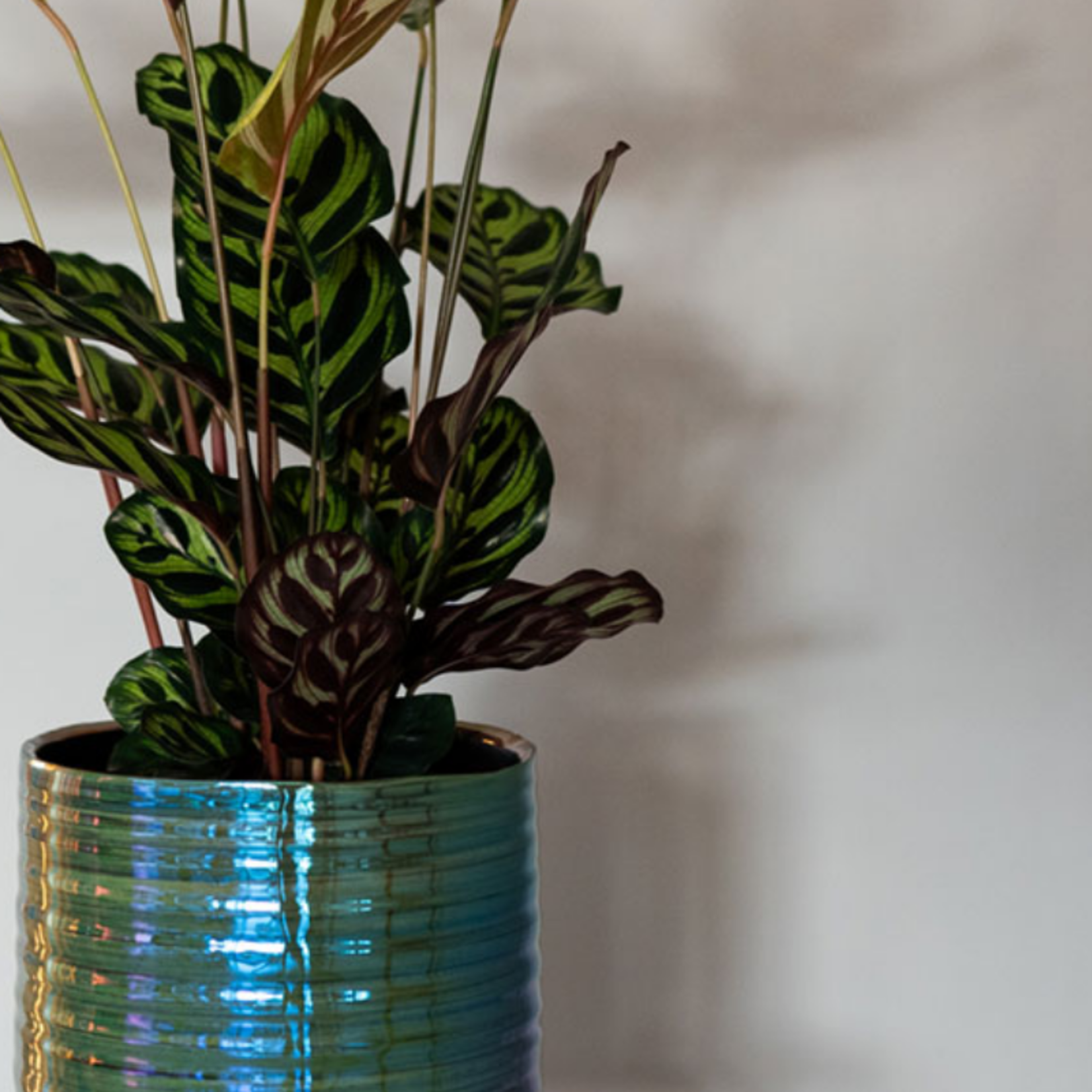 Pot Didi - parelmoer groen S