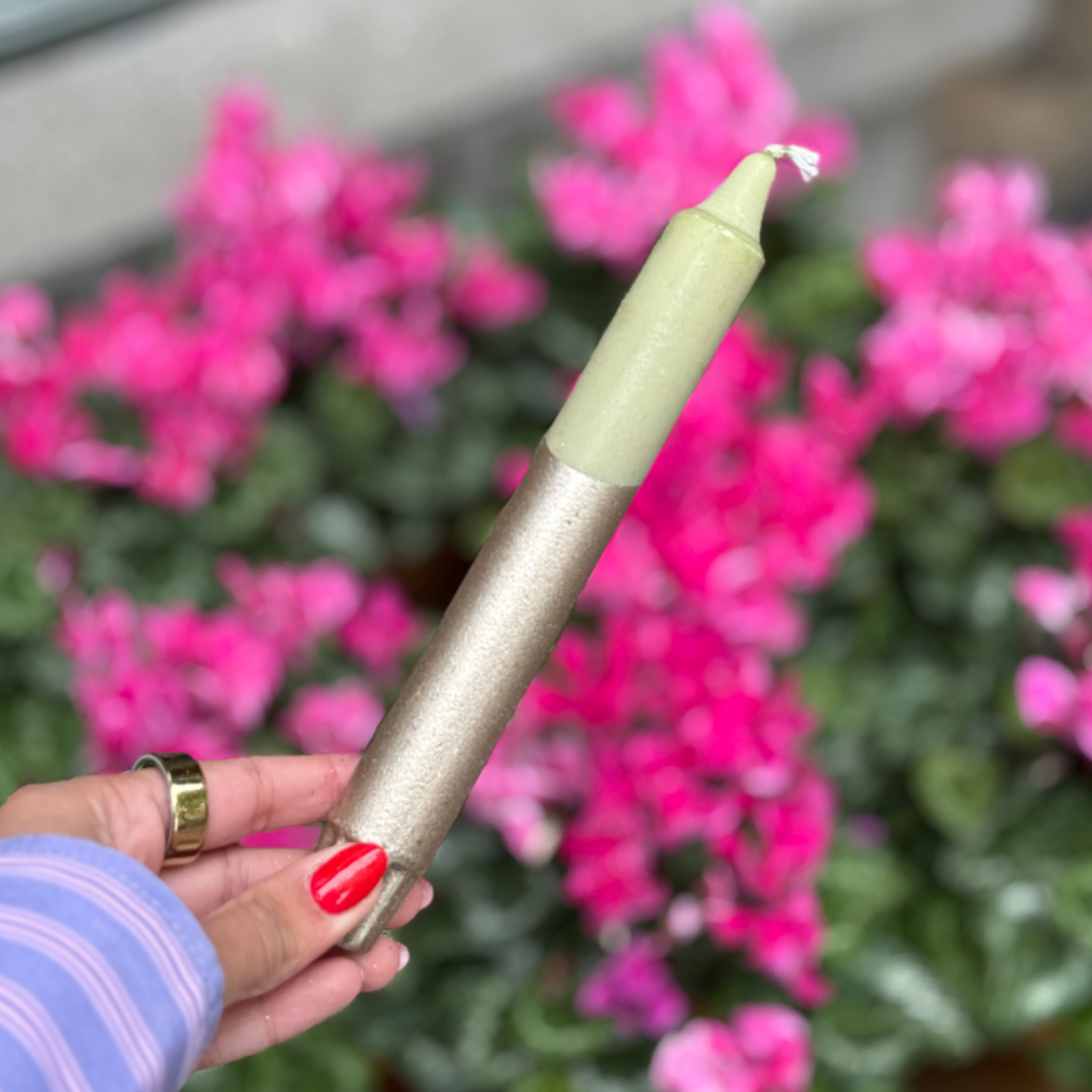 Kaars - Essence - Groen/champagne