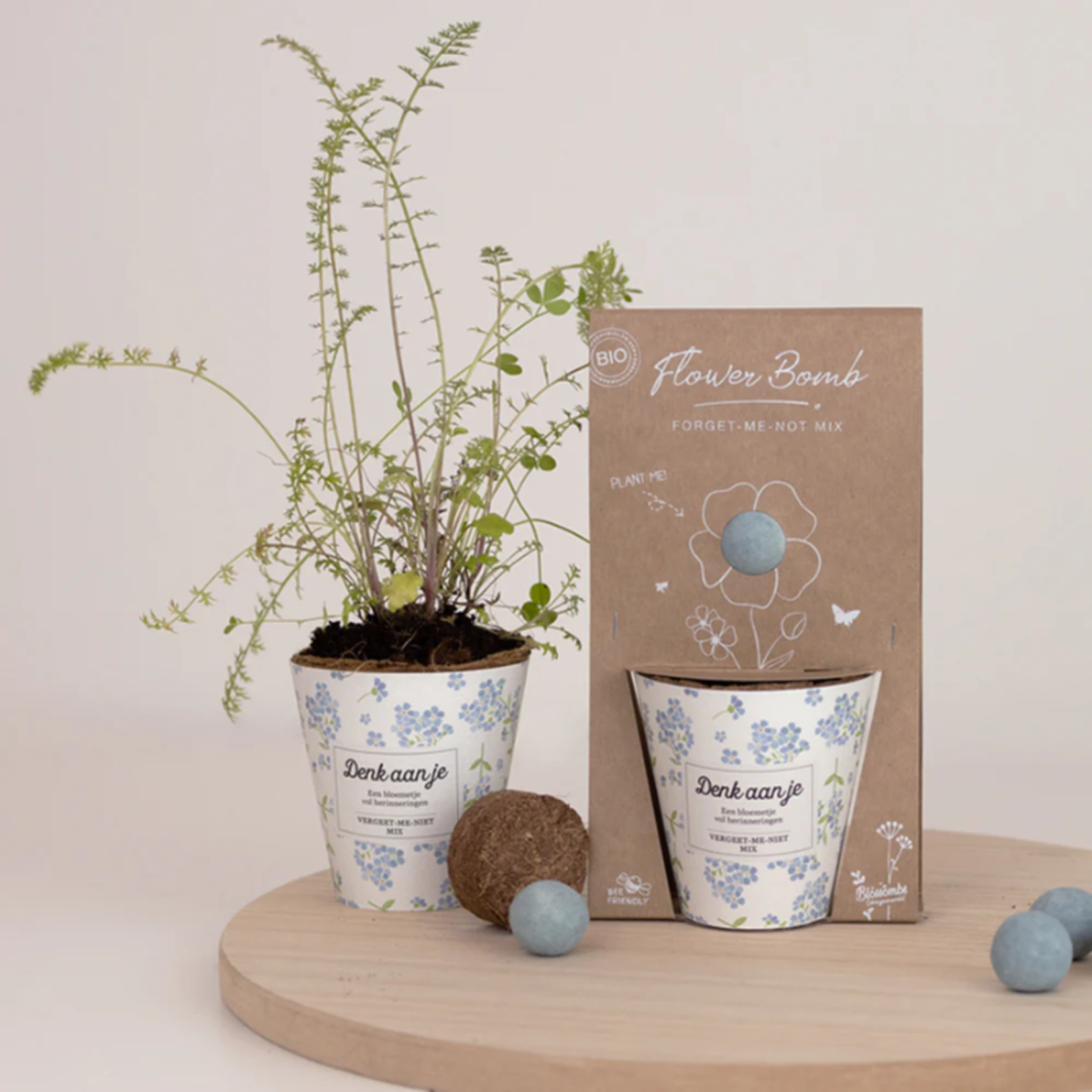 Zaadbommen grow kit - Denk aan je