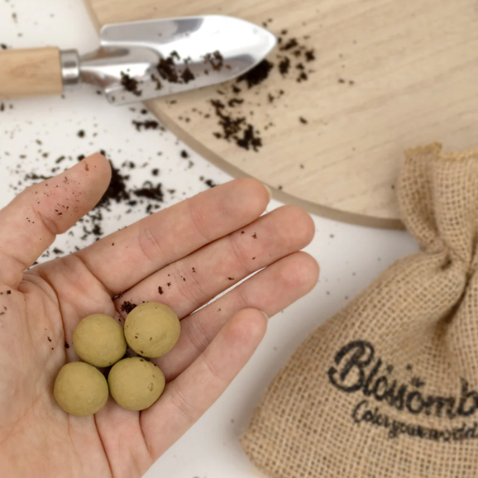 Zaadbommen doosje - Bedankt - 4 stuks