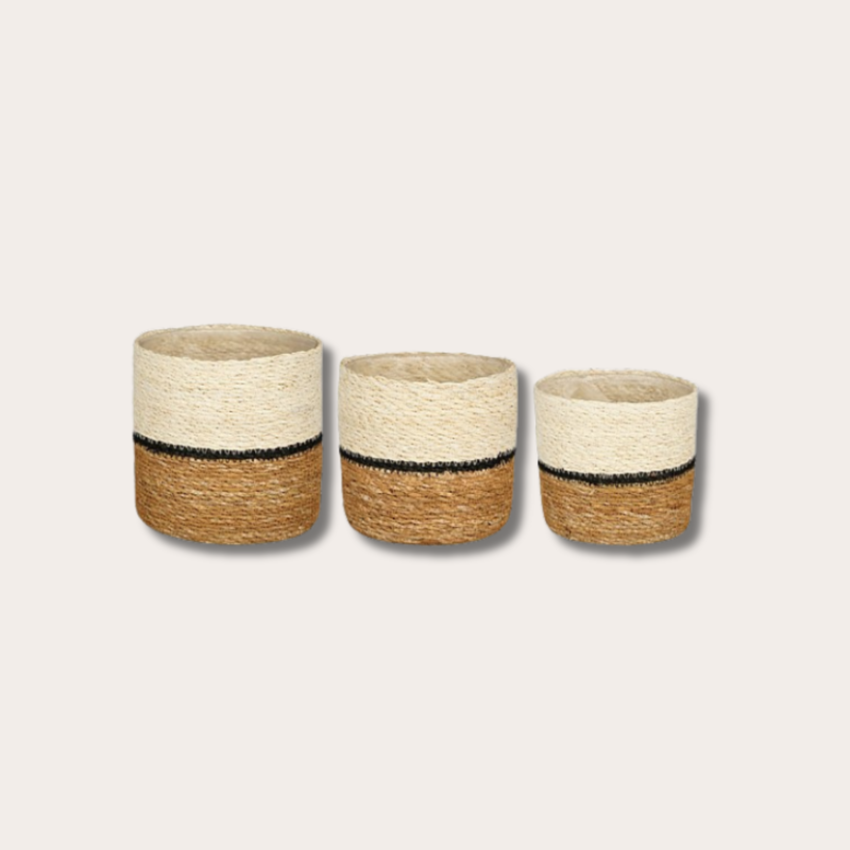 Mand - Damian - Wit/bruin
