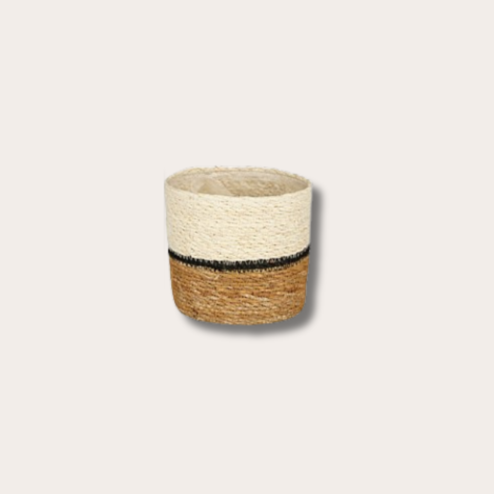 Mand - Damian - Wit/bruin