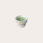 Buiten kaars -  creme terracotta pot S - Velvet Green
