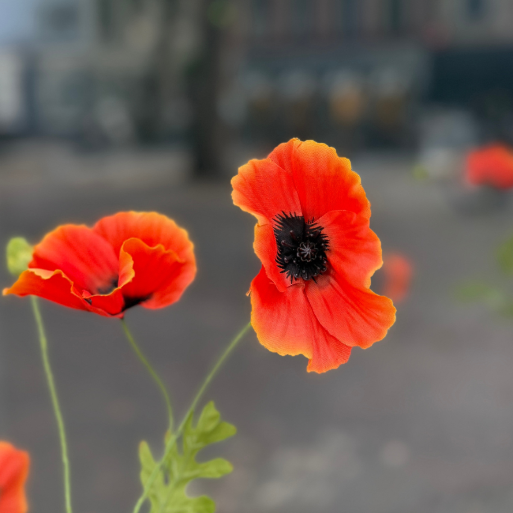 Zijden bloem - Klaproos - oranje/koraal