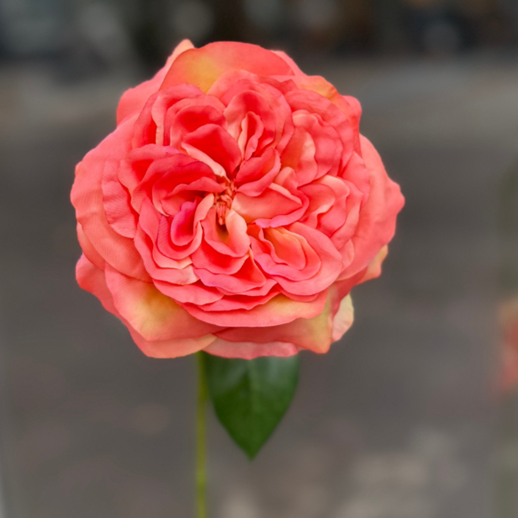 Zijden bloem - Engelse Roos - oranje/geel