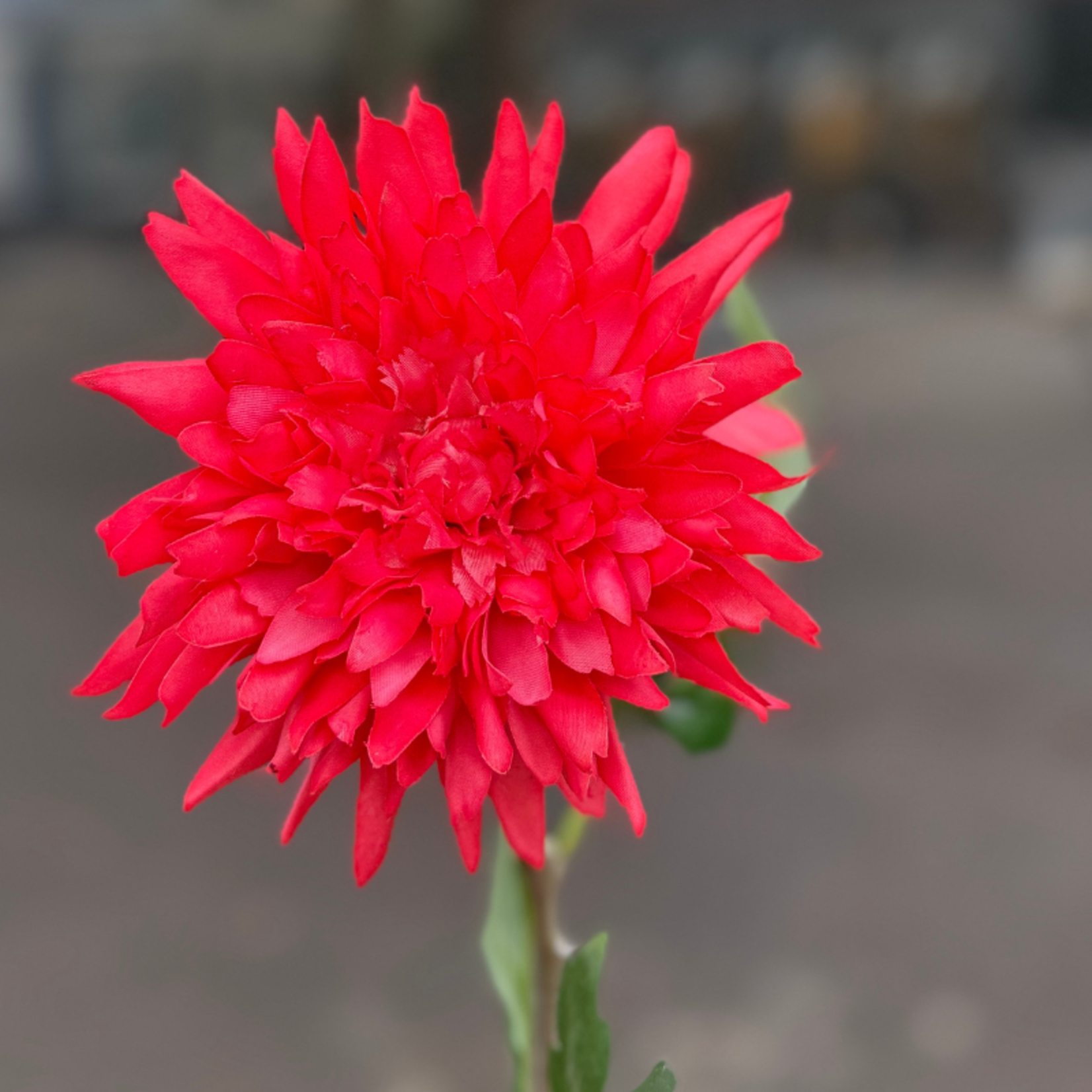 Zijden bloem - Dahlia spray - fuchsia