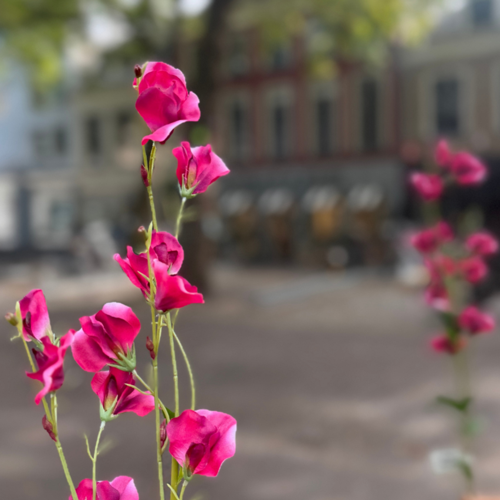 Zijden bloem - Pronkerwt - roze
