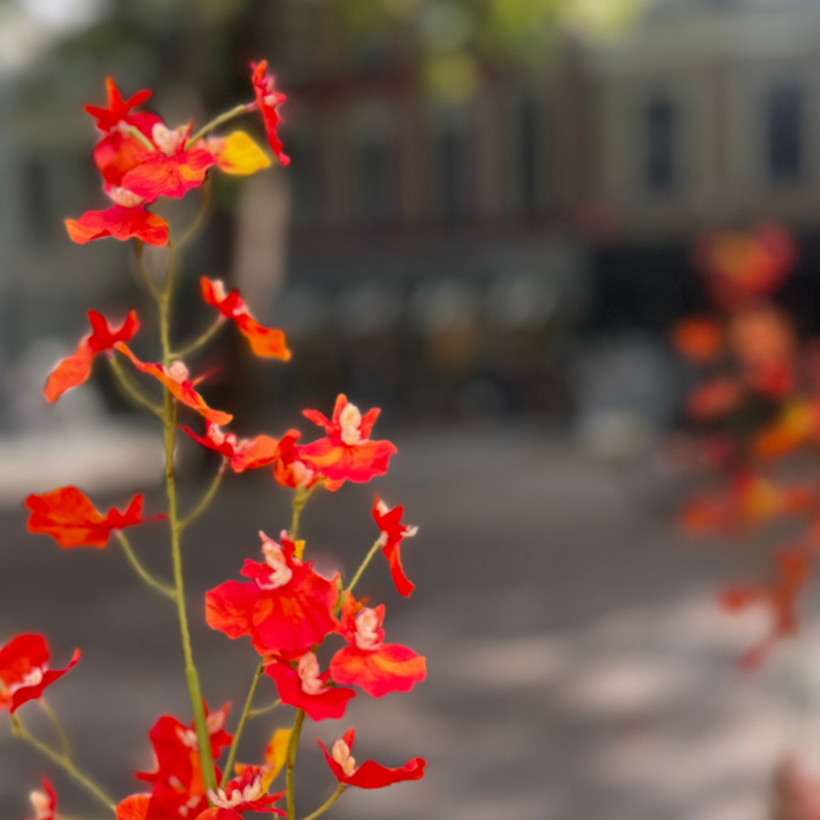 Zijden bloem - Oncidium orchidee - Oranje/geel