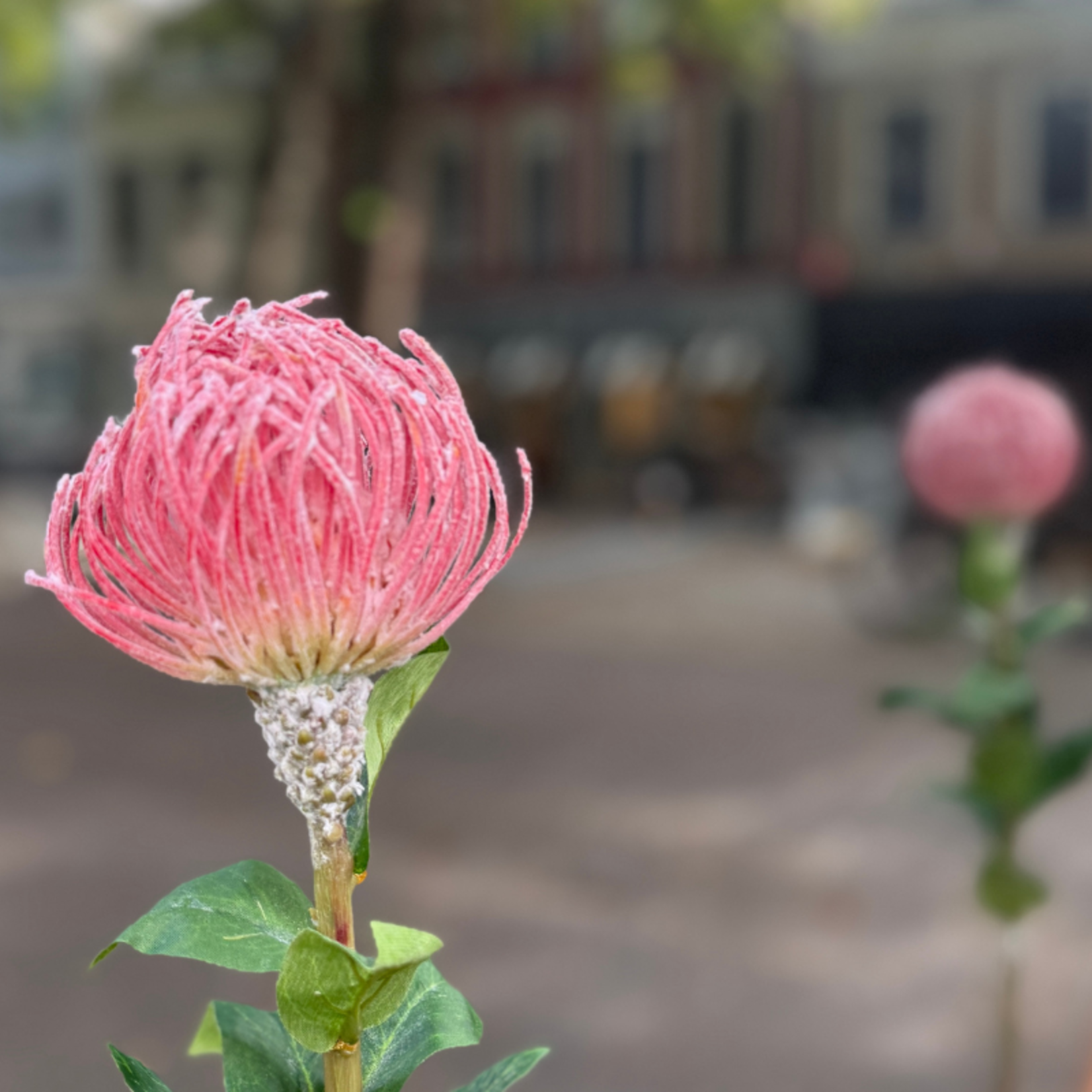 Zijden bloem - Suikerbos - roze