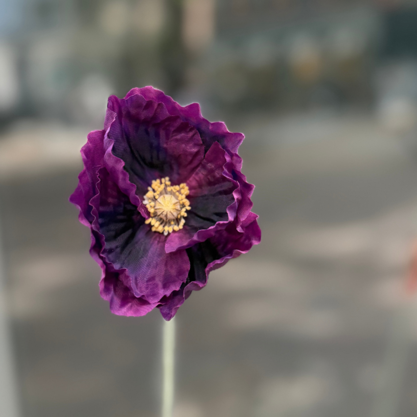 Zijden bloem - Klaproos - paars