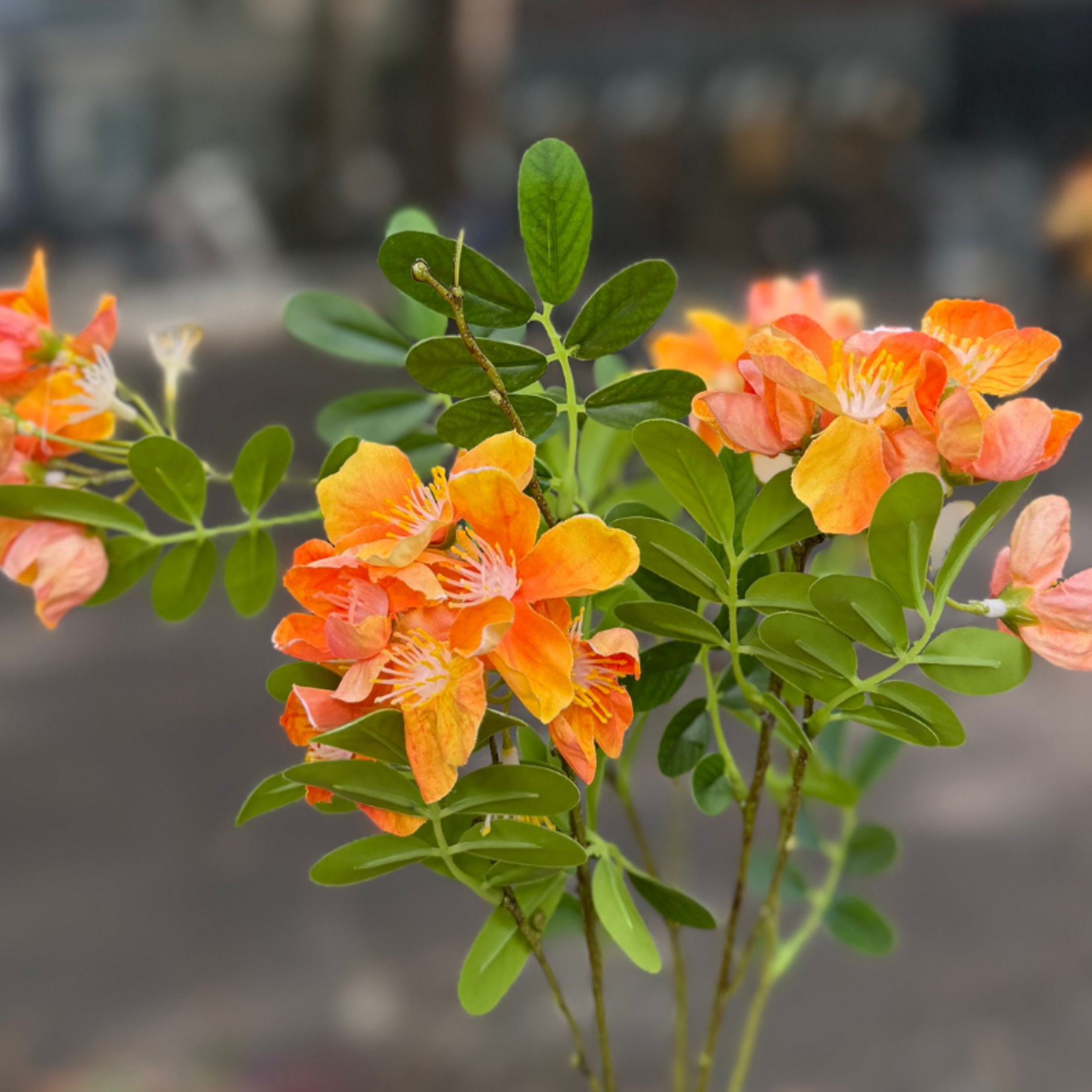 Zijden bloem - Japanse weigela - oranje/geel