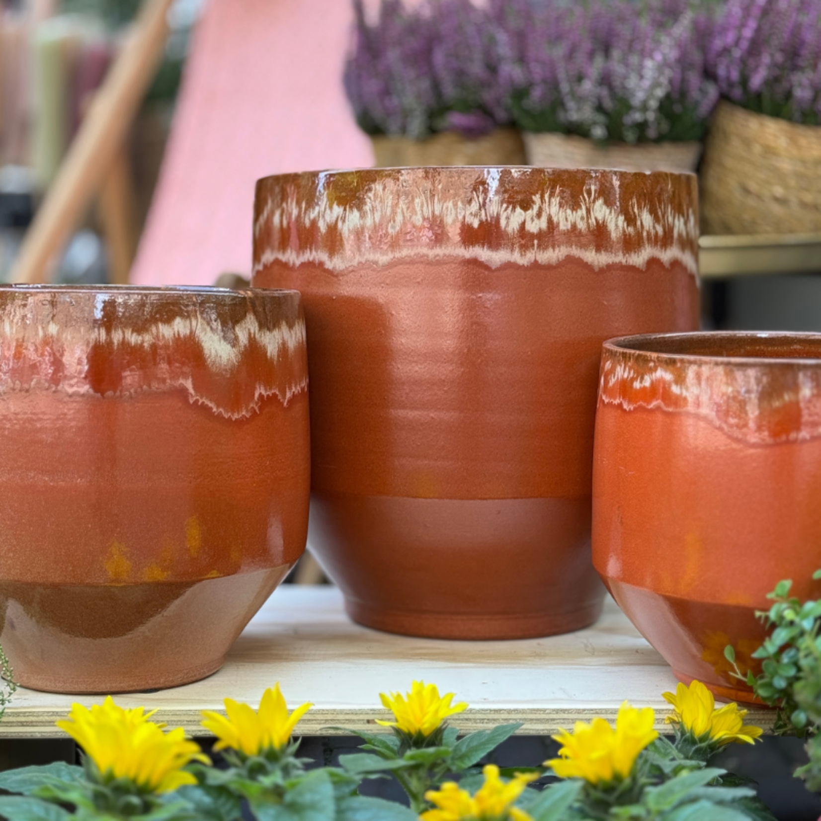 Pot Aline - rood M