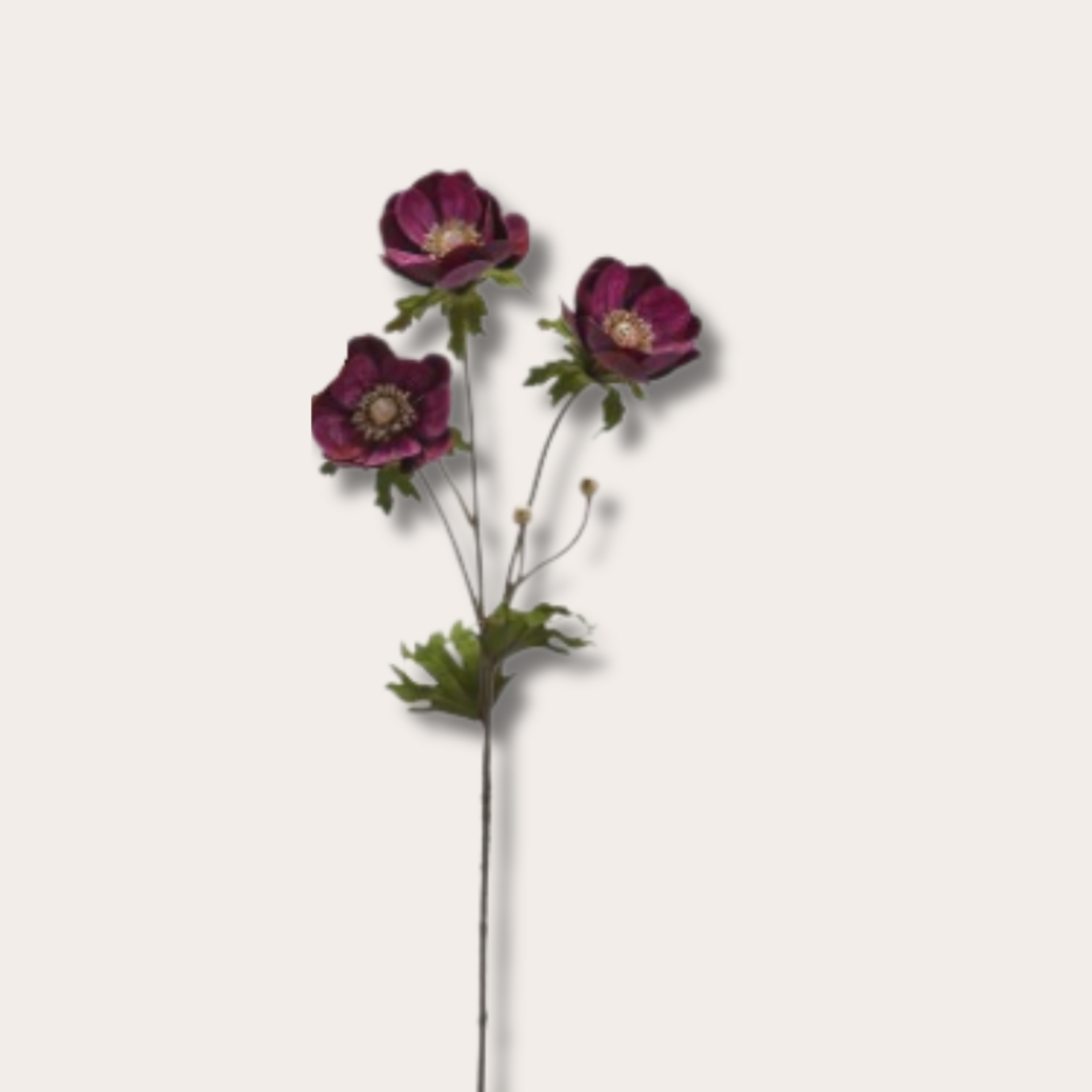 Zijden bloem - Anemoon - Bordeaux