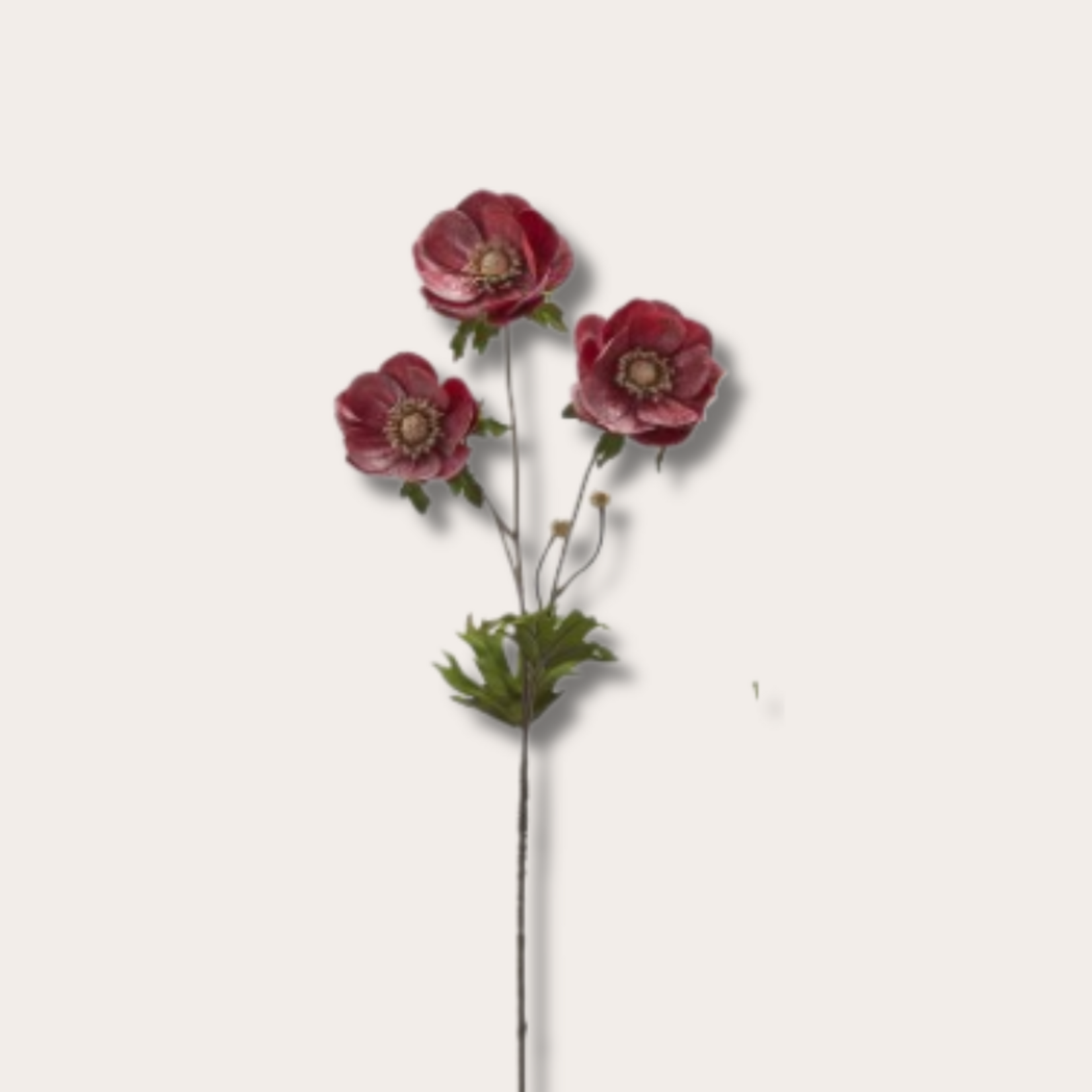 Zijden bloem - Anemoon - Donker paars