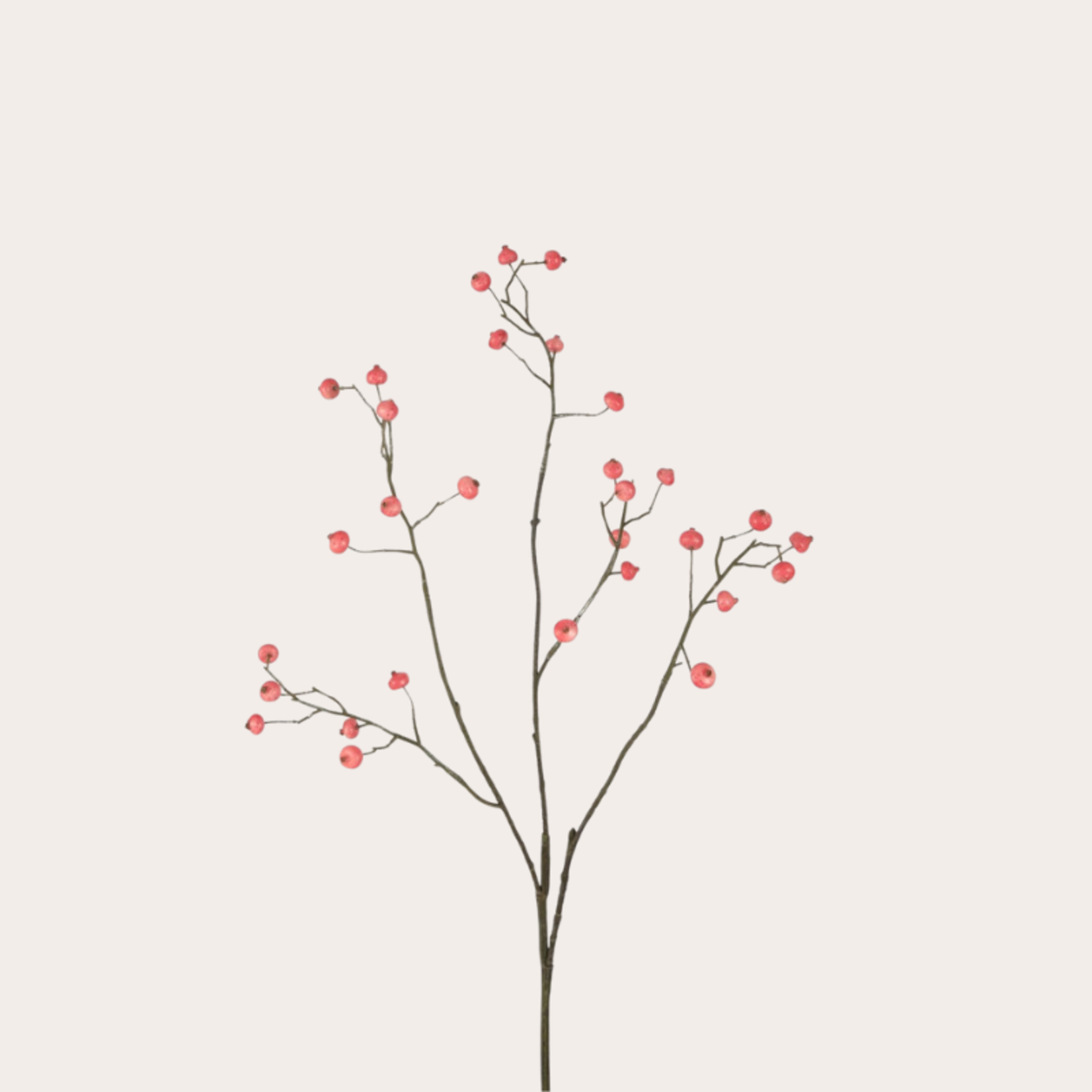 Zijden bloem - Rozenbottel - Roze