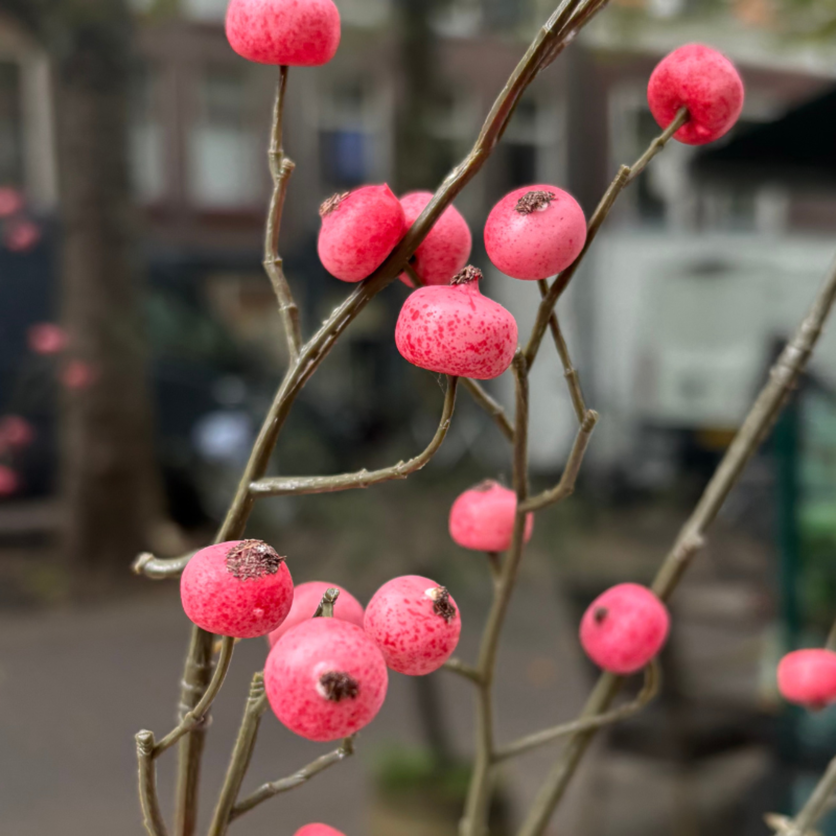 Zijden bloem - Rozenbottel - Roze