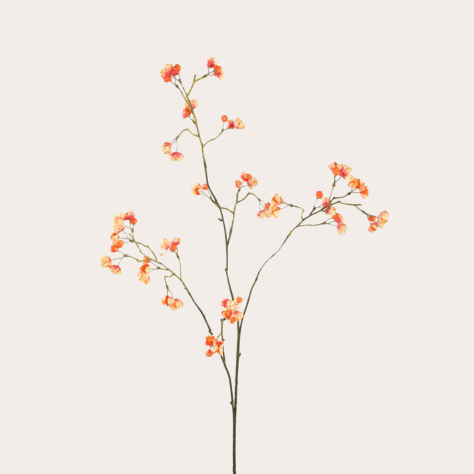 Zijden bloem - Bitterzoet - Oranje