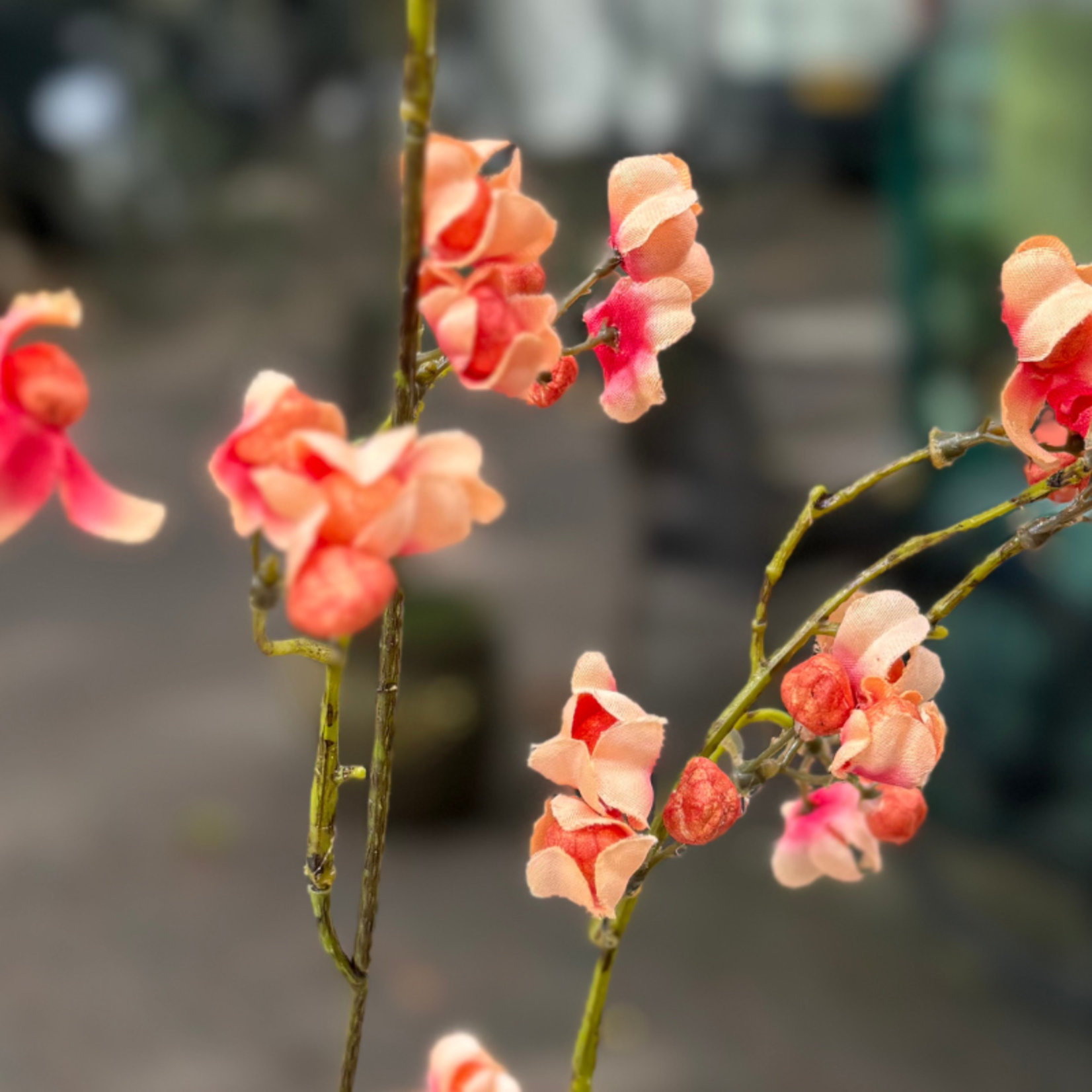 Zijden bloem - Bitterzoet - Oranje