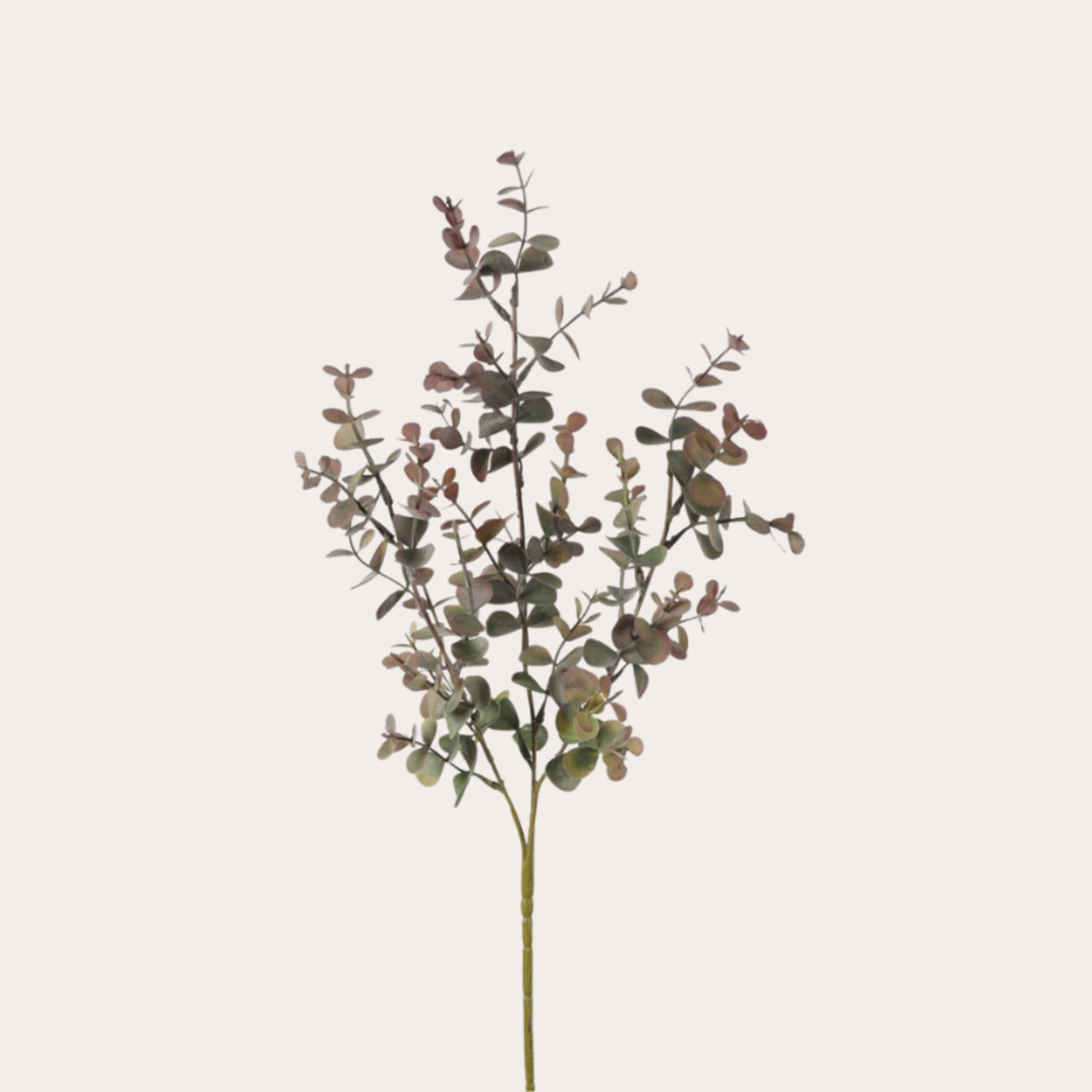 Zijden bloem - Eucalyptus - Groen/rood