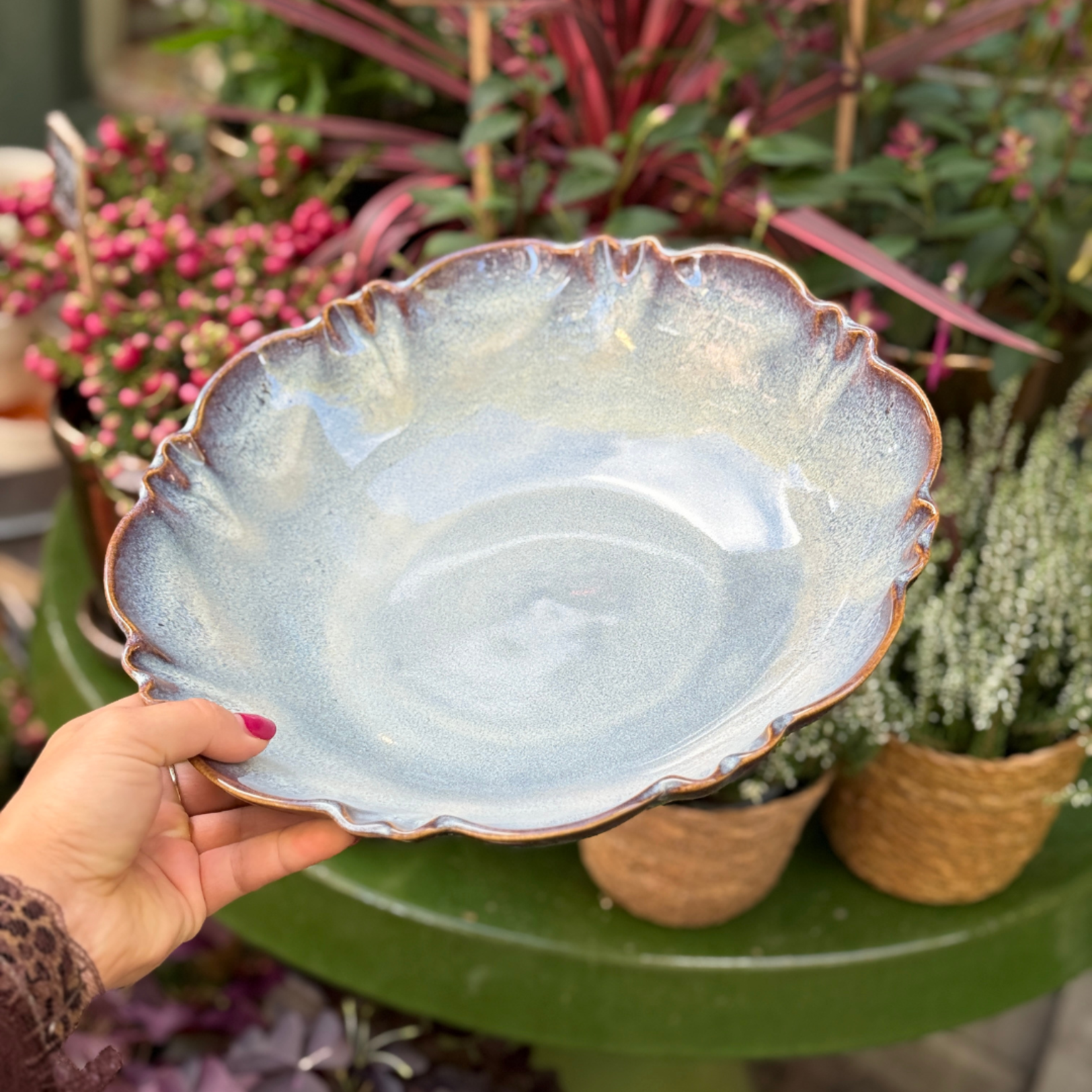 Schaal Moris - Lait Chocolat S