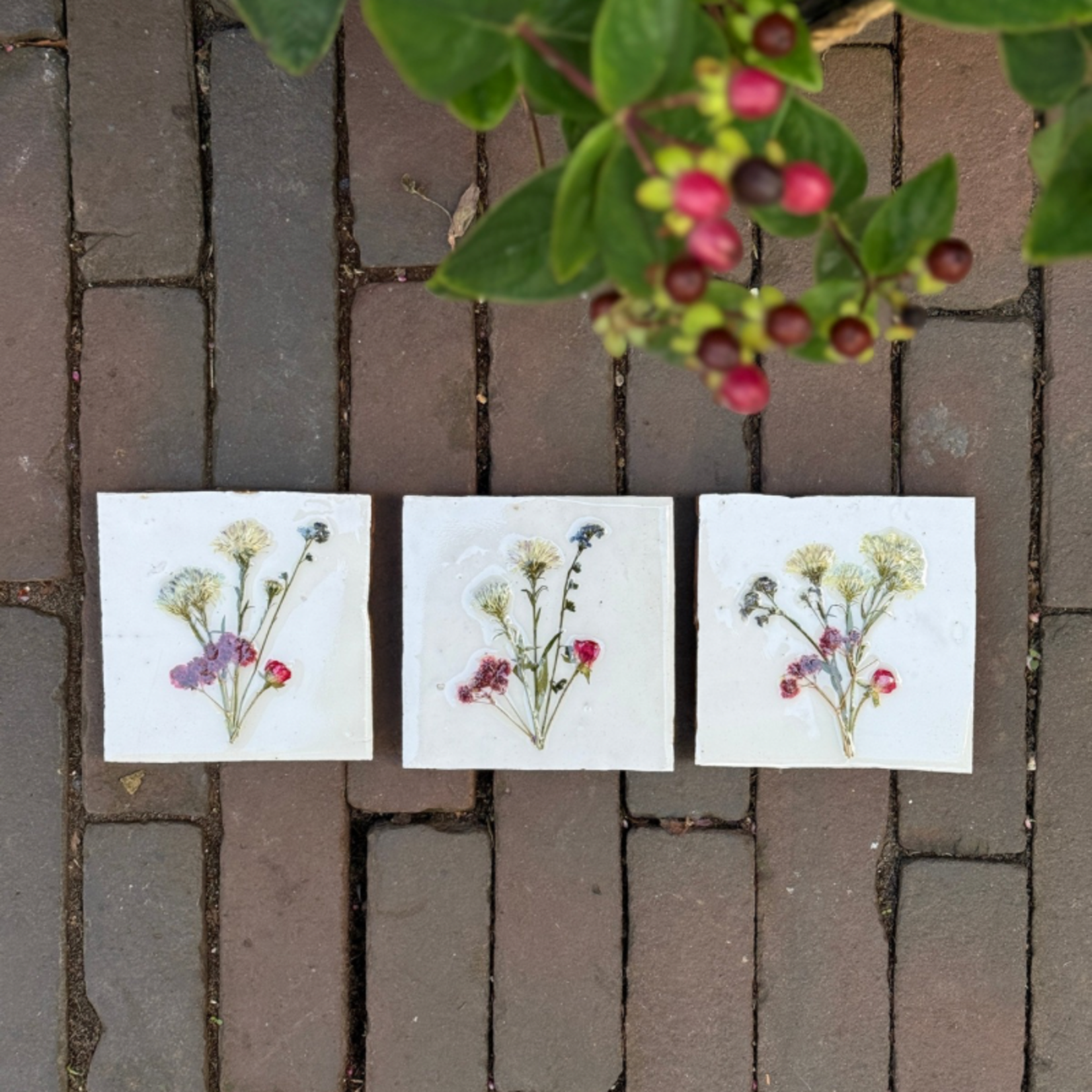 Droogbloemen tegel - wit 1