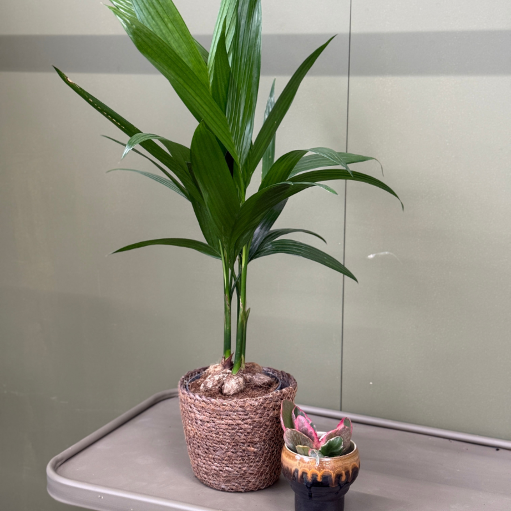 Mandje - Bowie - bruin