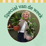 Groene Vingers Special van de week