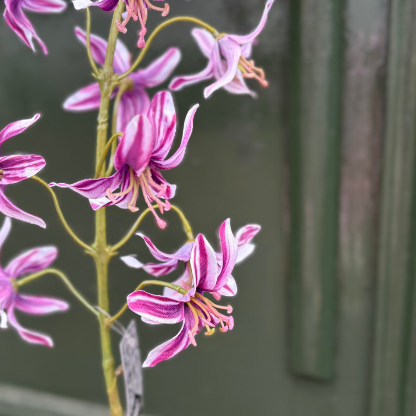 Zijden bloem - Nerine - Paars