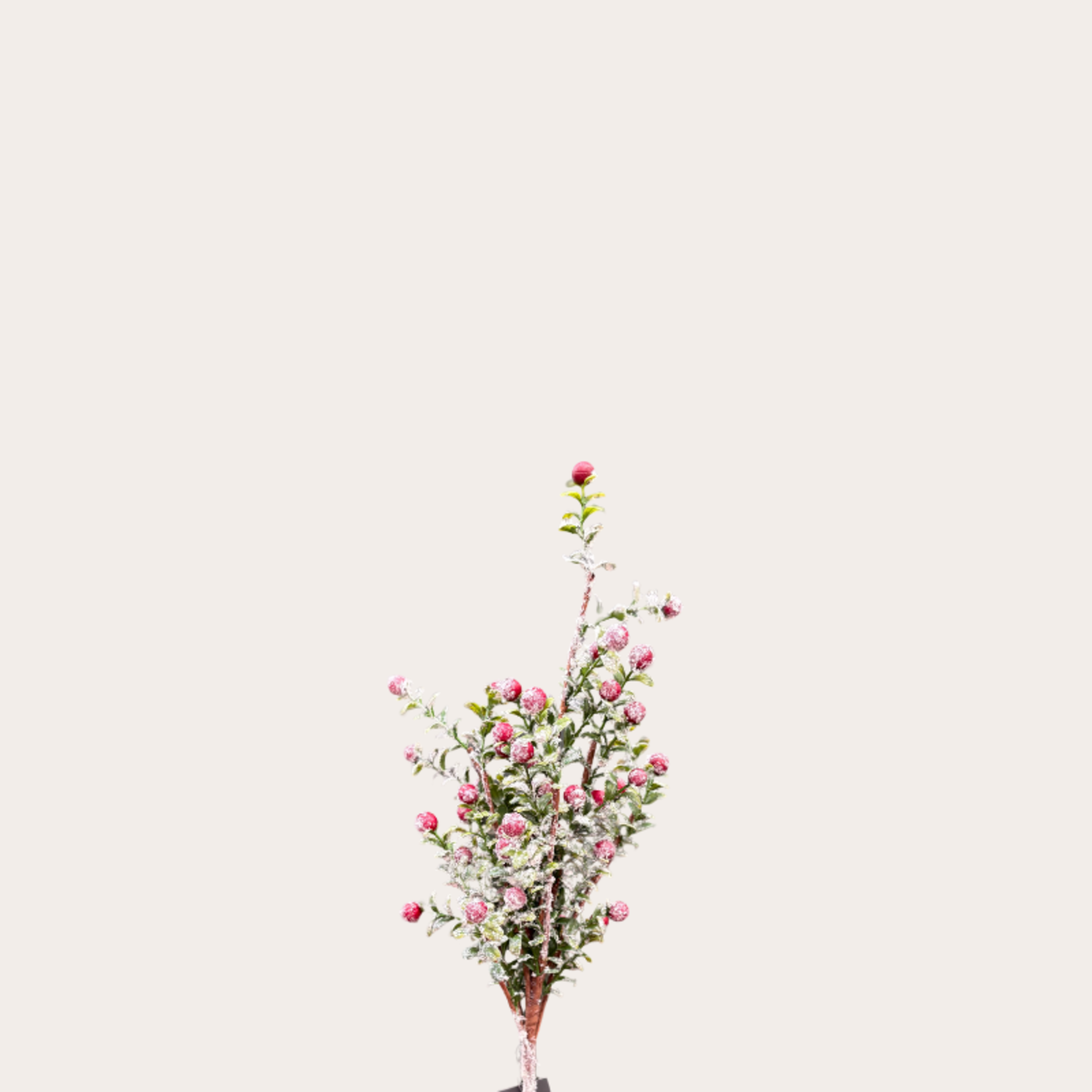 Zijden bloem - Buxus - Rode bes