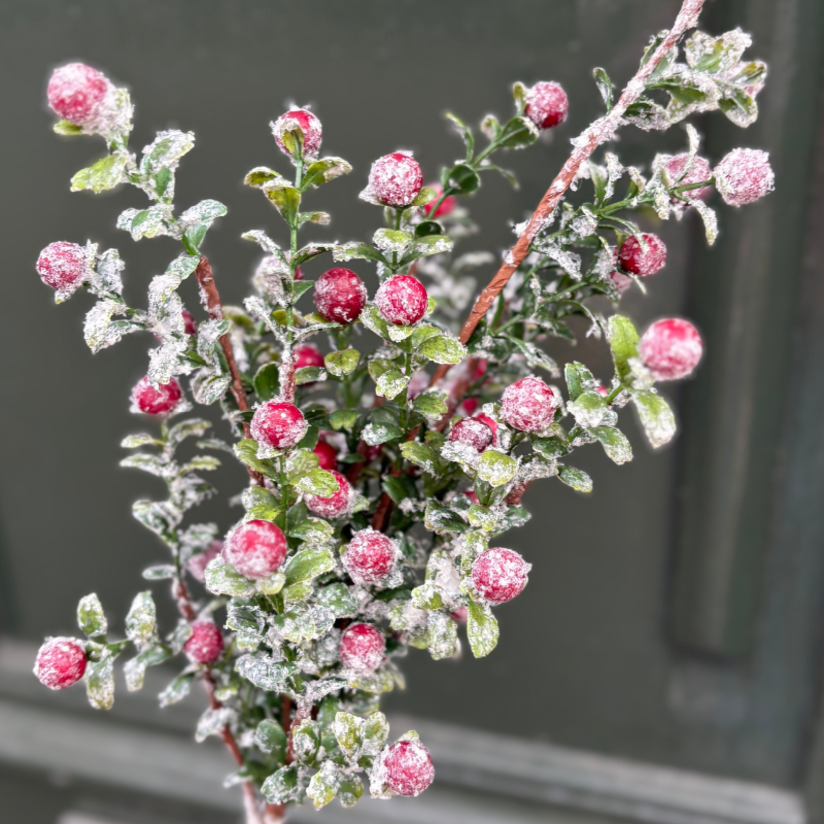 Zijden bloem - Buxus - Rode bes