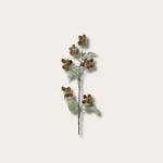 Zijden bloem - Blackberry