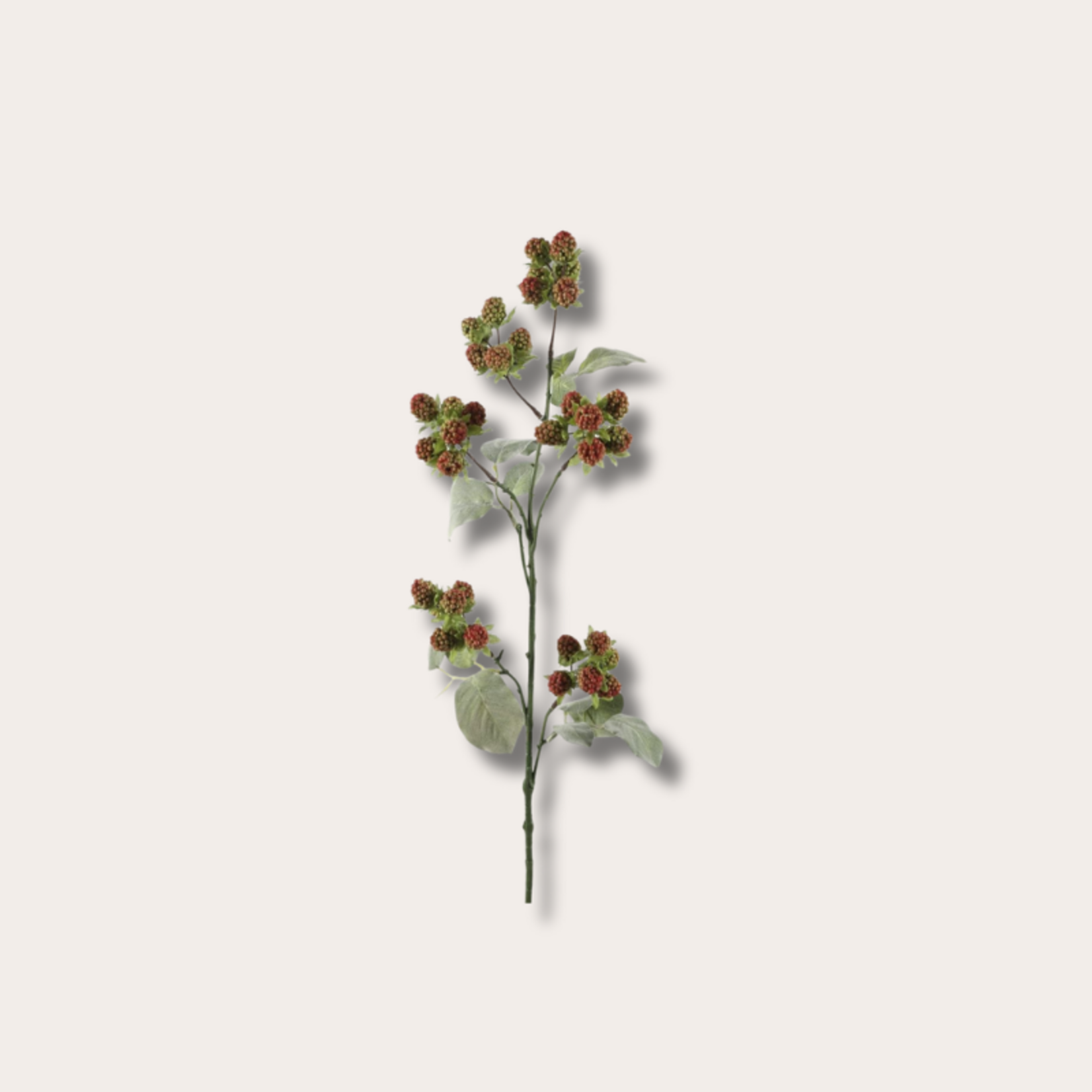Zijden bloem - Blackberry