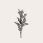 Zijden bloem - Cedar Seeds Stem