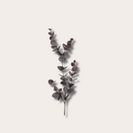 Zijden bloem - Eucalyptus bordeaux