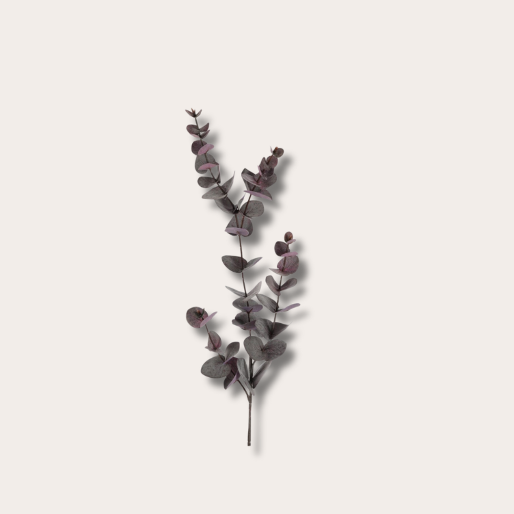 Zijden bloem - Eucalyptus bordeaux