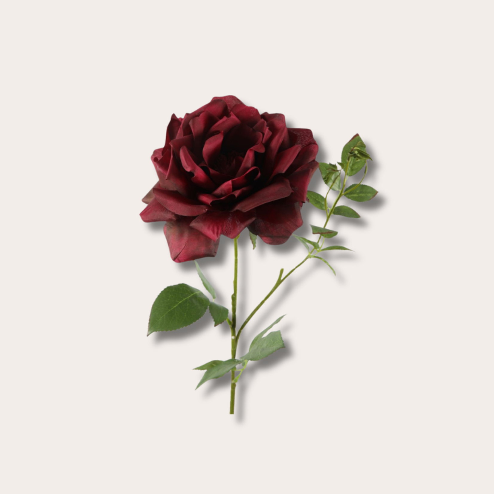 Zijden bloem - Giant Curly Rose