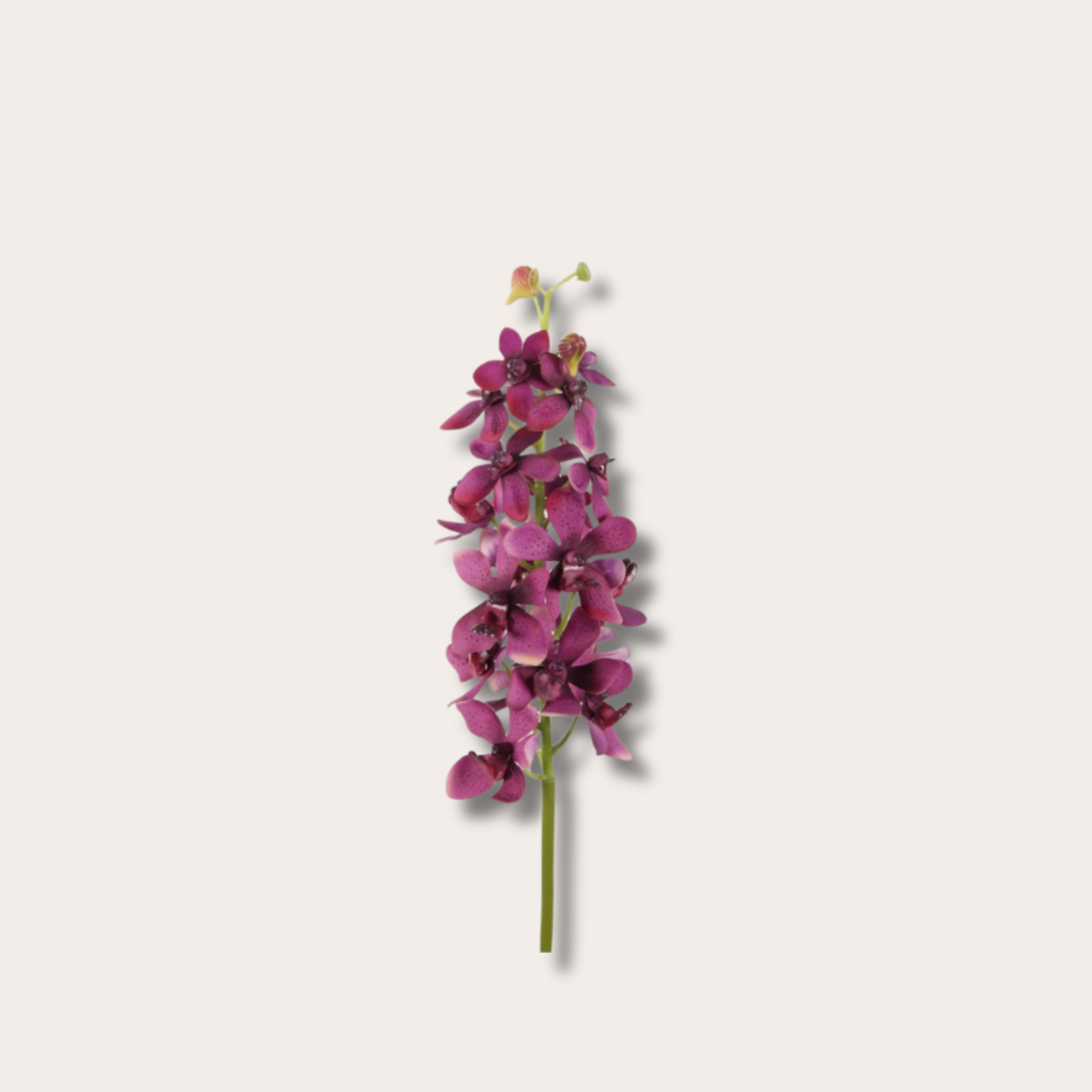 Zijden bloem - Vanda orchidee bordeaux