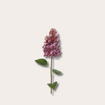 Zijden bloem - Lilac Spray