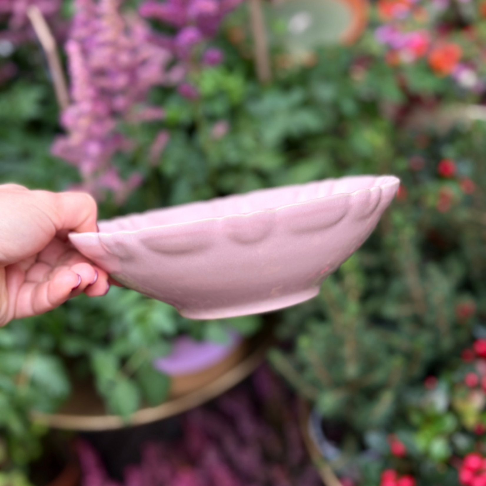 Schaal Moris - Rose Fondant  XS