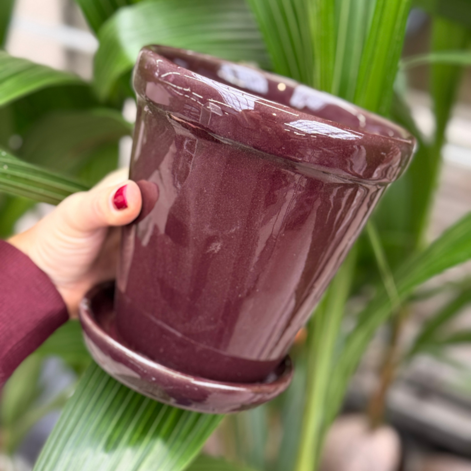 Geglazuurde pot met schotel/rand - Bordeaux S
