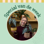 Groene Vingers Special van de week