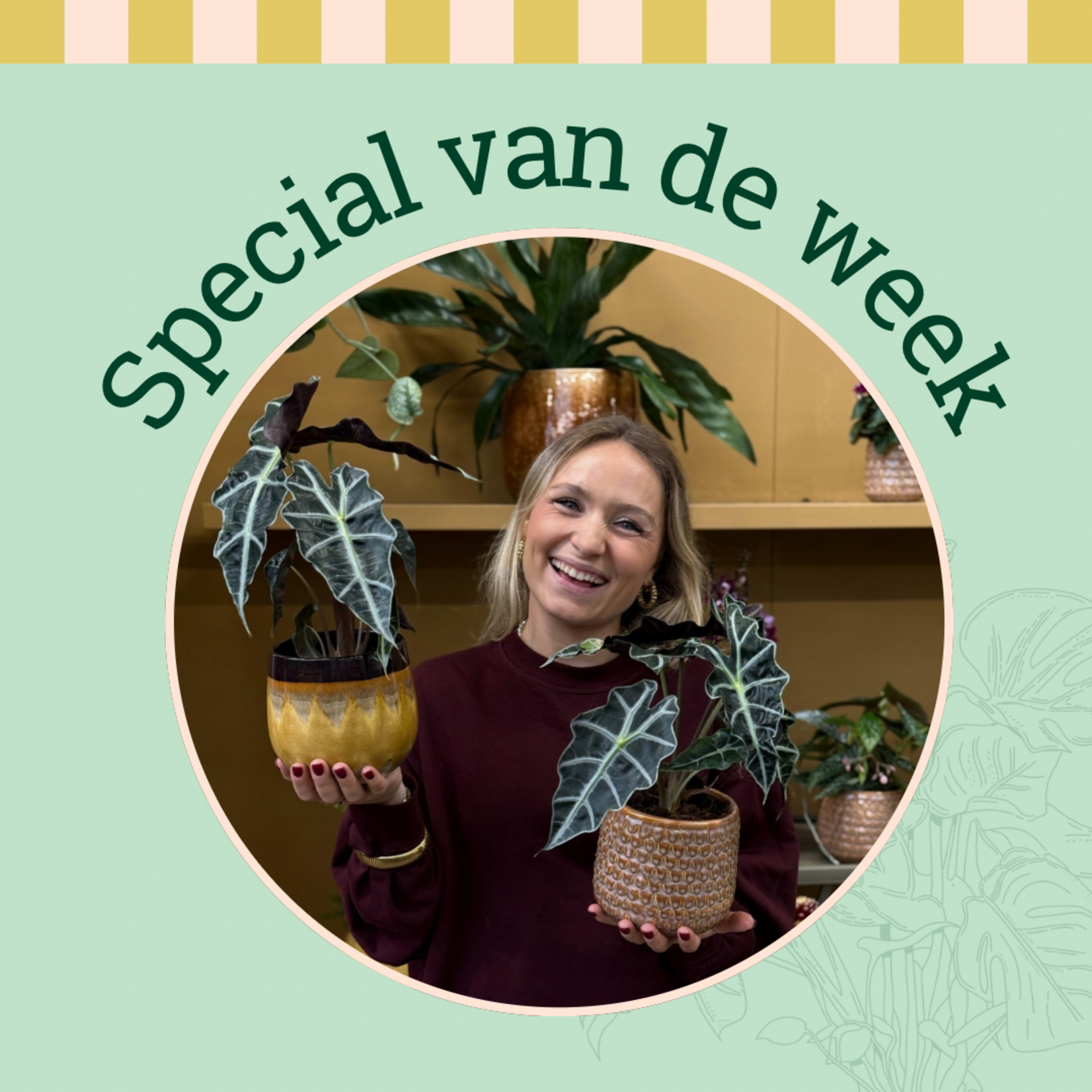Groene Vingers Special van de week