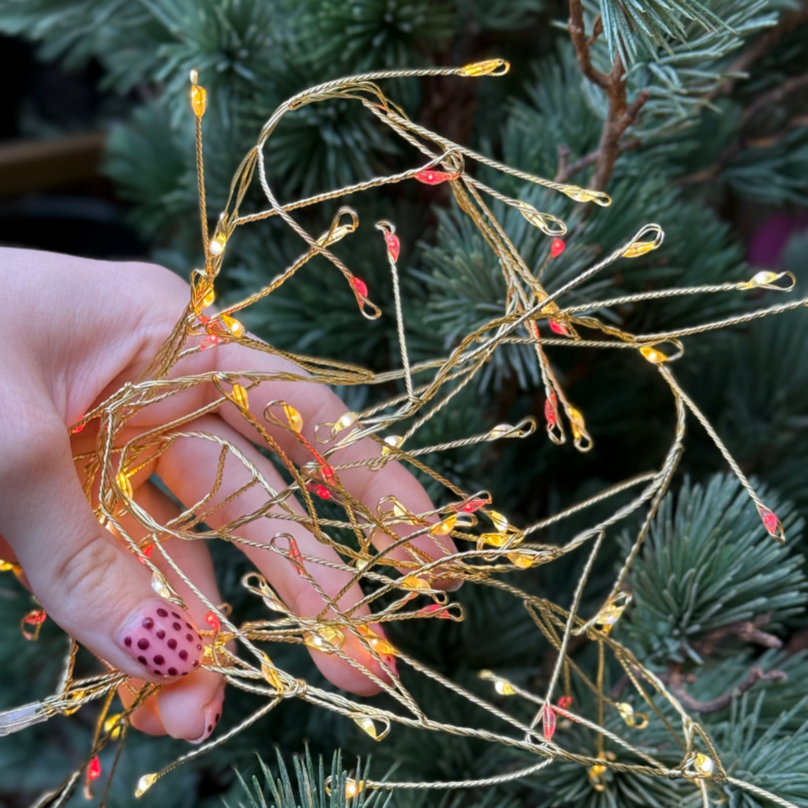Kerstboomverlichting - Merry - Gekleurd