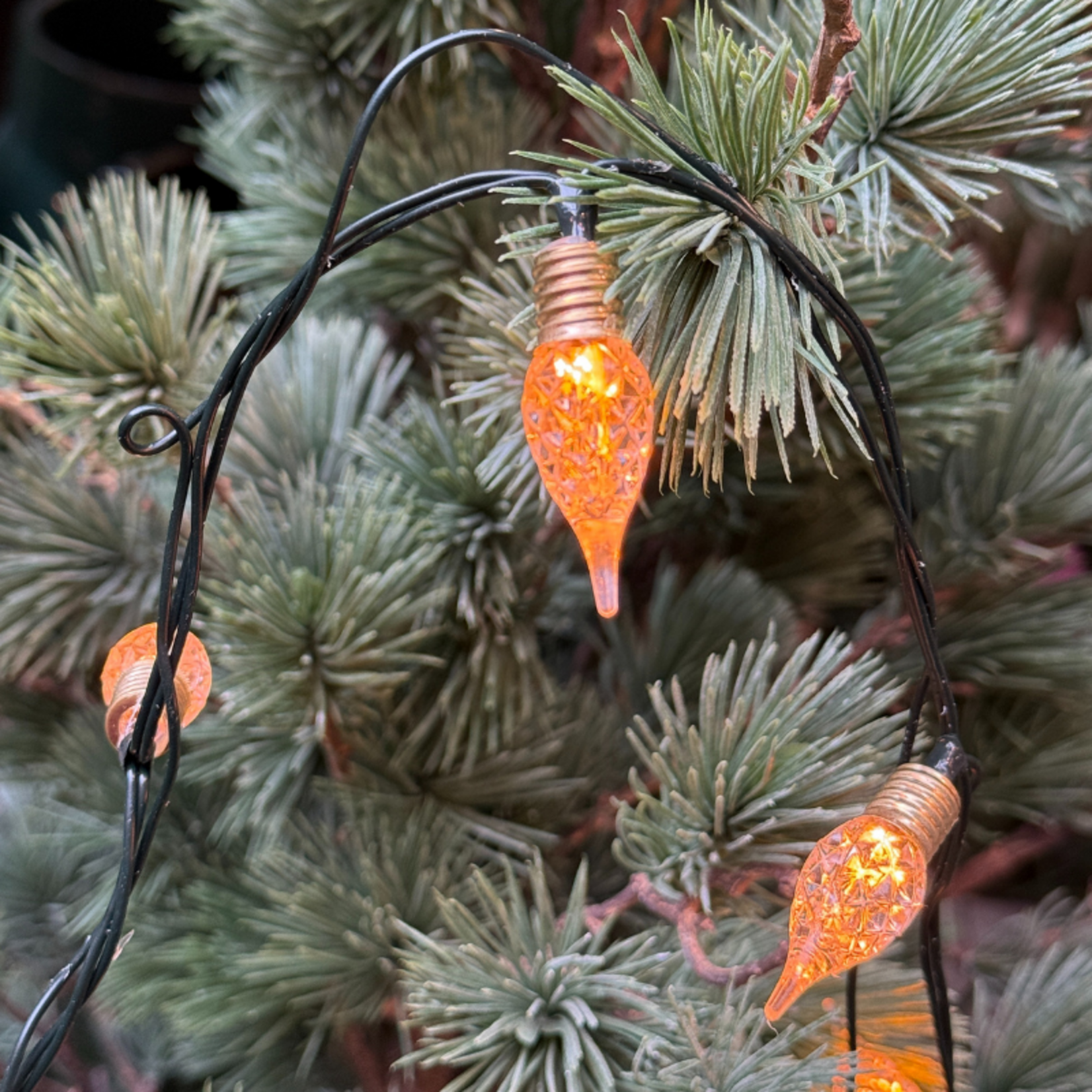 Kerstverlichting - North - Warm