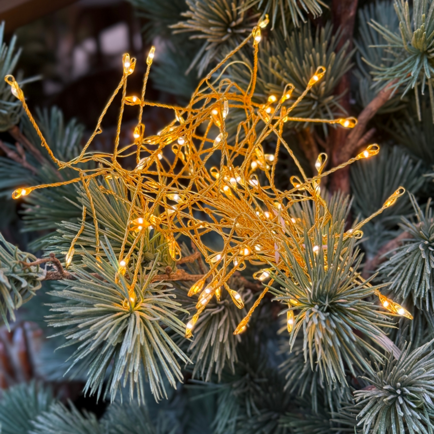 Kerstboomverlichting - Frosty - Warm wit