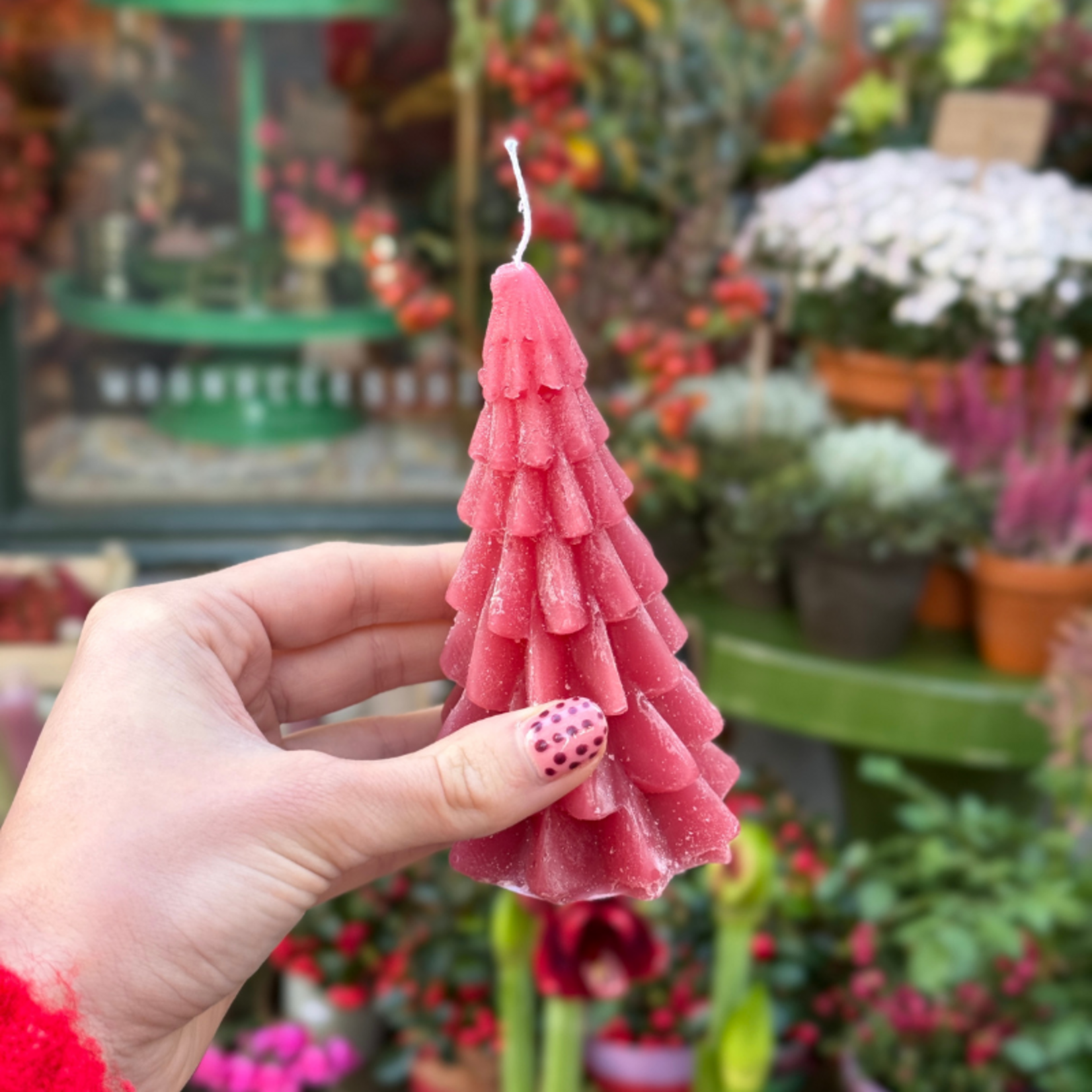 Kaars - Kerstboom - Nova - Rasberry - S