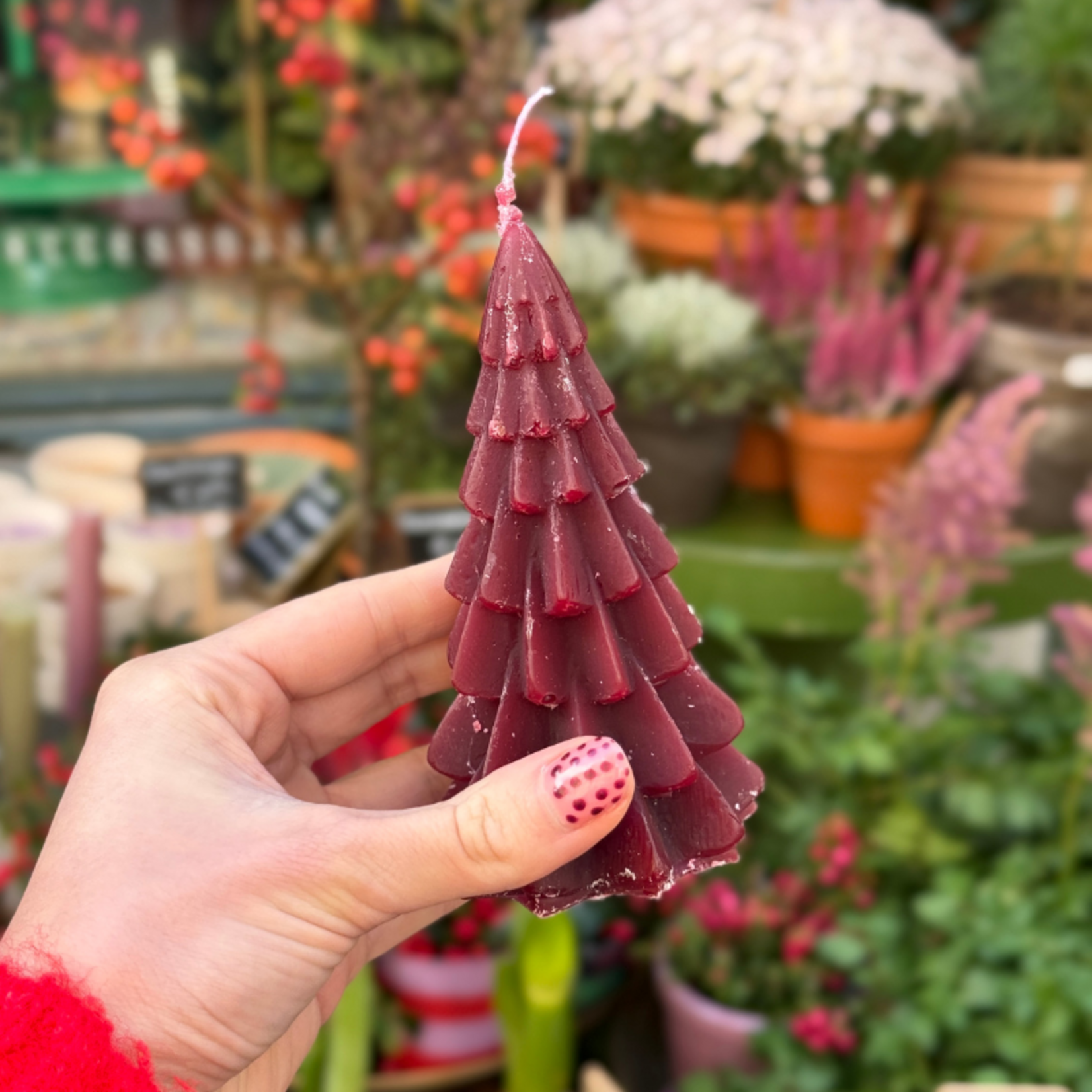 Kaars - Kerstboom - Nova - Aubergine - S