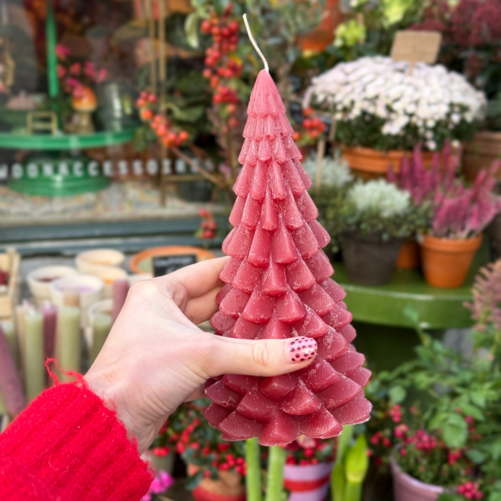 Kaars - Kerstboom - Nova - Rasberry - M